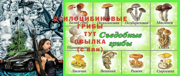 стаф Карпинск