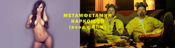 стаф Карпинск