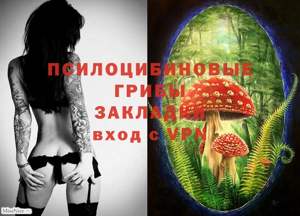 стаф Карпинск