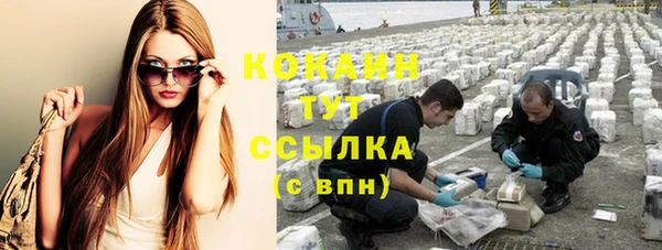стаф Карпинск