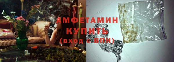 стаф Карпинск
