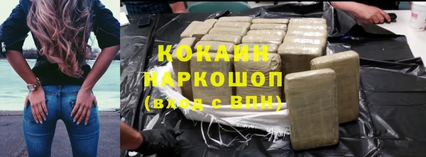 стаф Карпинск