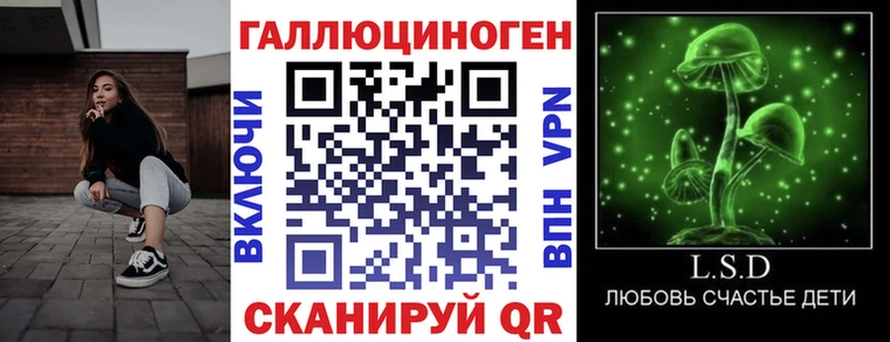 Купить где  Злынка  Псилоцибиновые грибы прущие грибы 